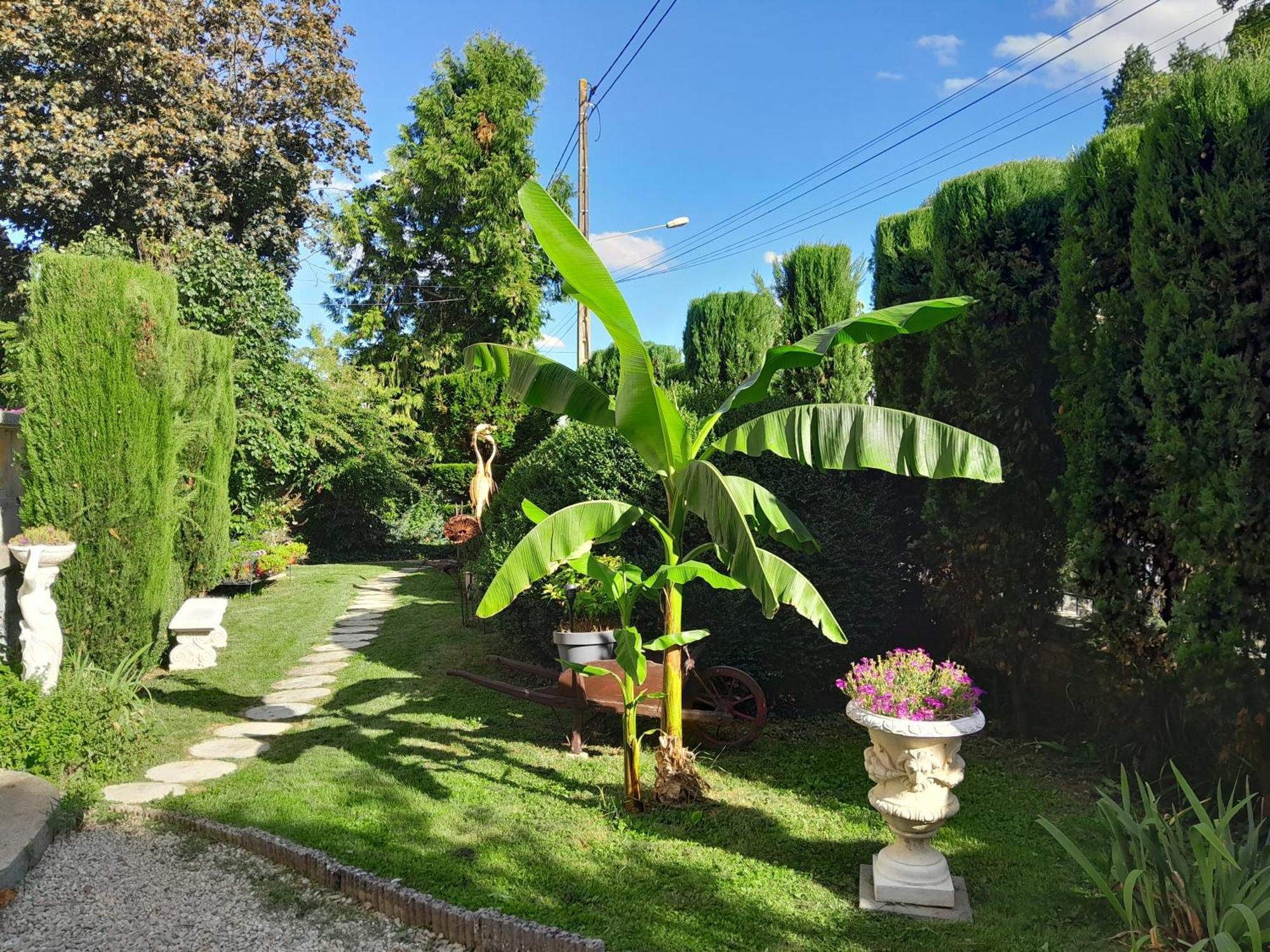 Mamers Le Madrigal Bed & Breakfast エクステリア 写真